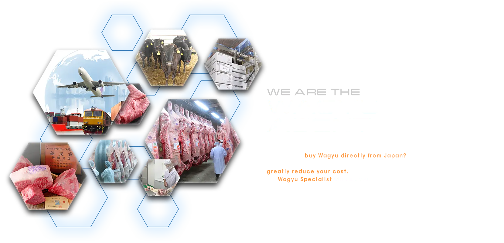 WE ARE THE WAGYU AGENT