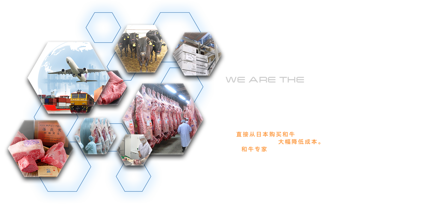 WE ARE THE WAGYU AGENT