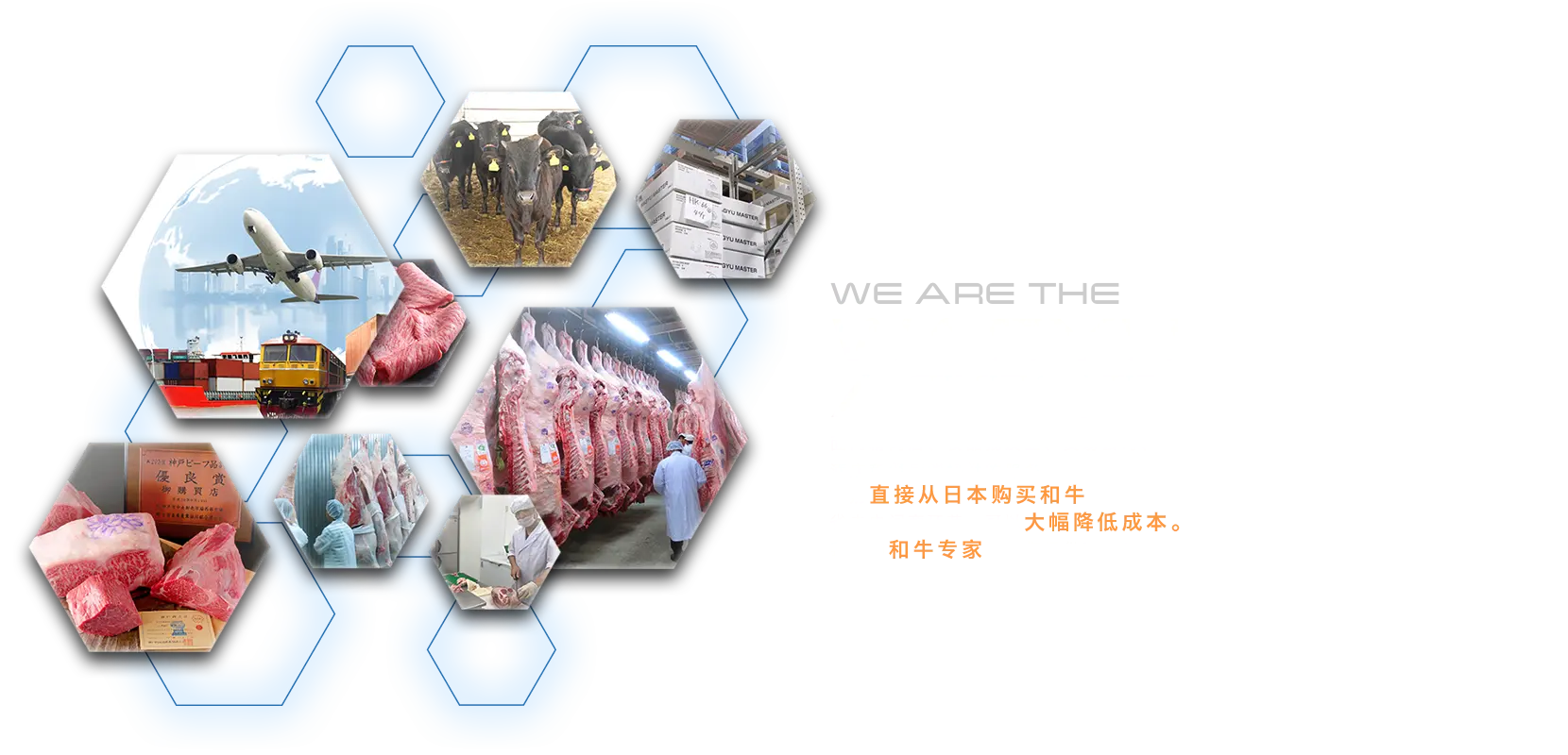WE ARE THE WAGYU AGENT
