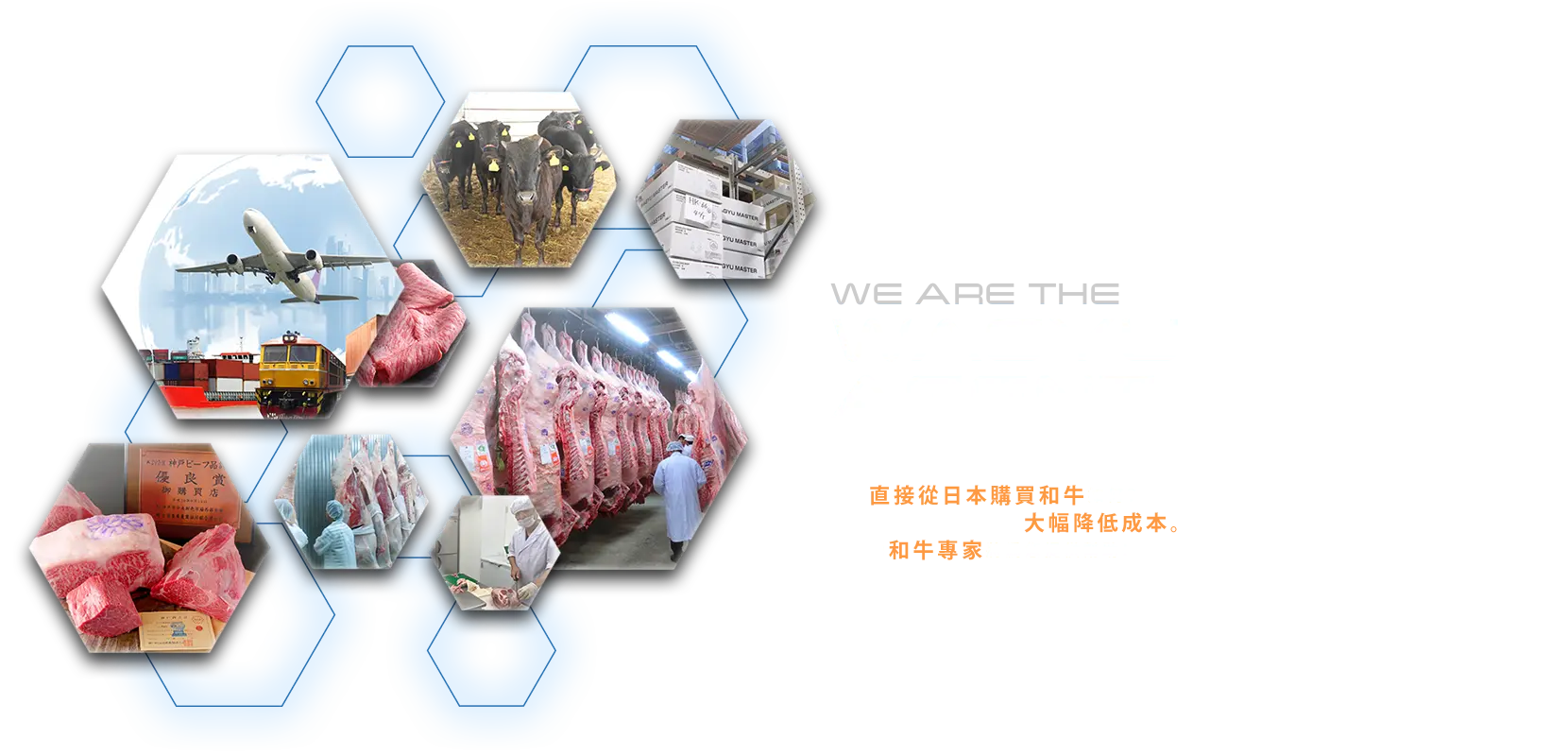 WE ARE THE WAGYU AGENT