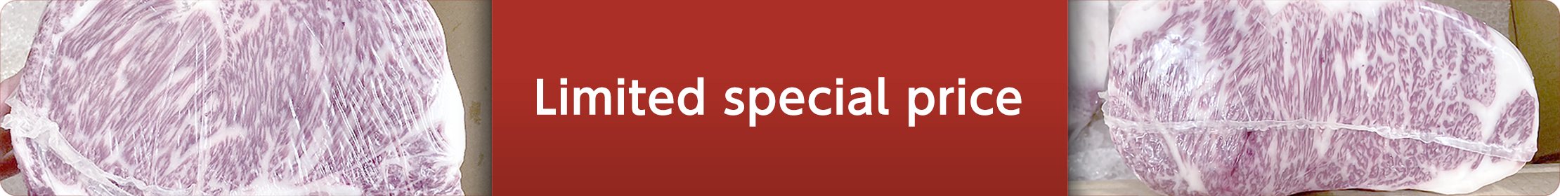 Limited special price